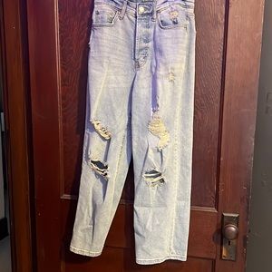 Wild Fable (Target) High Waist Distressed Jean - 4